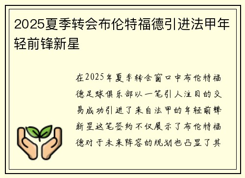 2025夏季转会布伦特福德引进法甲年轻前锋新星